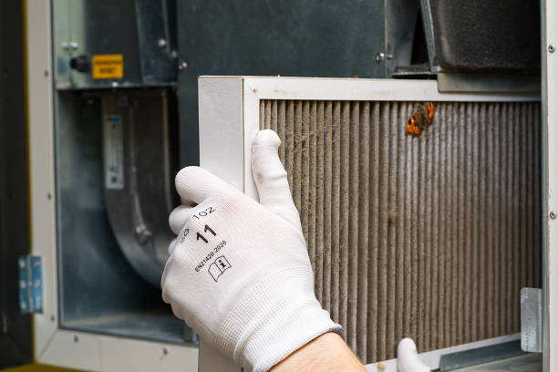 Best Air Duct Cleaning Near Me  in Pine Air, FL