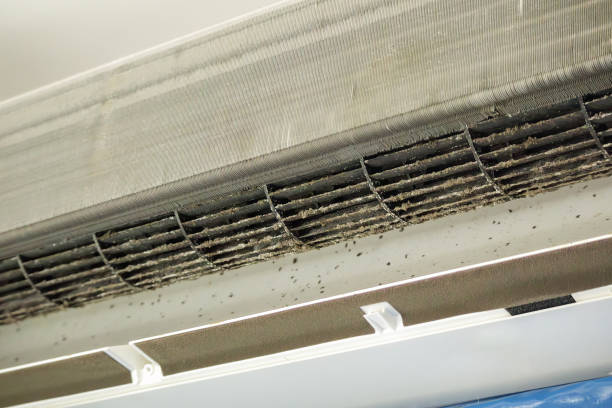 Best Best Air Duct Cleaning Company  in Pine Air, FL